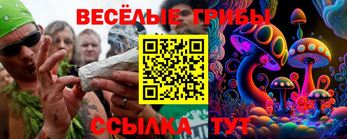 Ртищево  Галлюциногенные грибы Psilocybine cubensis  Вход с VPN  Галлюциногенные грибы MAGIC MUSHROOMS 
